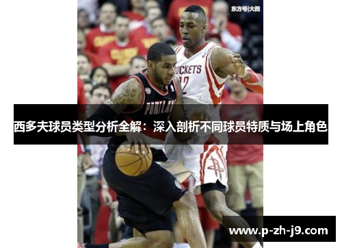 西多夫球员类型分析全解：深入剖析不同球员特质与场上角色