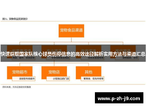 快速获取国家队核心球员伤停信息的高效途径解析实用方法与渠道汇总