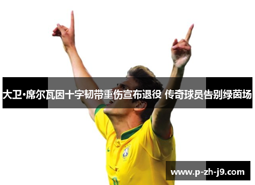 大卫·席尔瓦因十字韧带重伤宣布退役 传奇球员告别绿茵场 大卫·席尔瓦因十字韧带重伤宣布退役 传奇球员告别绿茵场