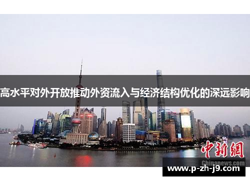 高水平对外开放推动外资流入与经济结构优化的深远影响