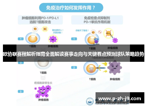 欧协联赛程解析指南全面解读赛事走向与关键看点预测球队策略趋势 欧协联赛程解析指南全面解读赛事走向与关键看点预测球队策略趋势