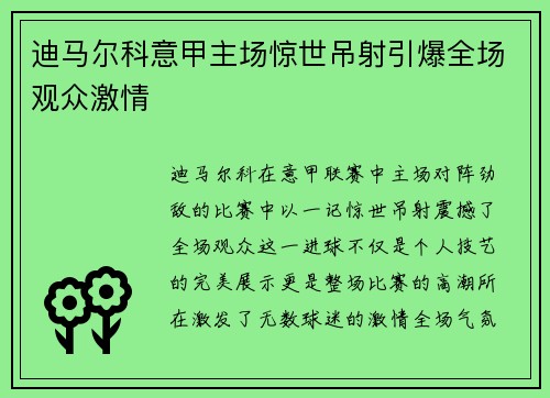 迪马尔科意甲主场惊世吊射引爆全场观众激情